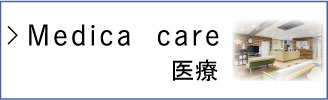 Medical care　医療