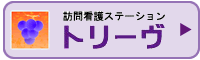 訪問看護ステーション トリーヴ